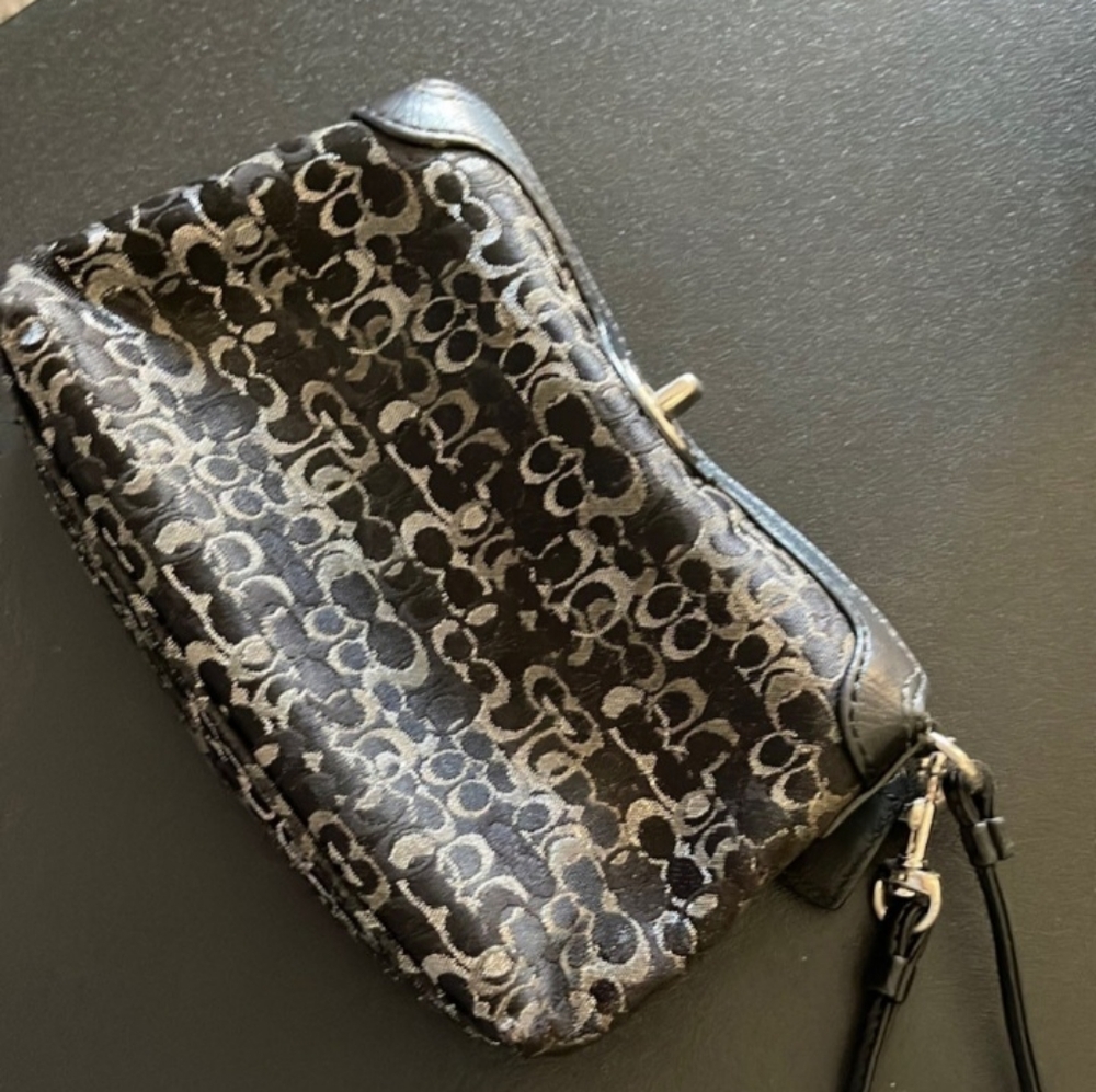 Coach mini